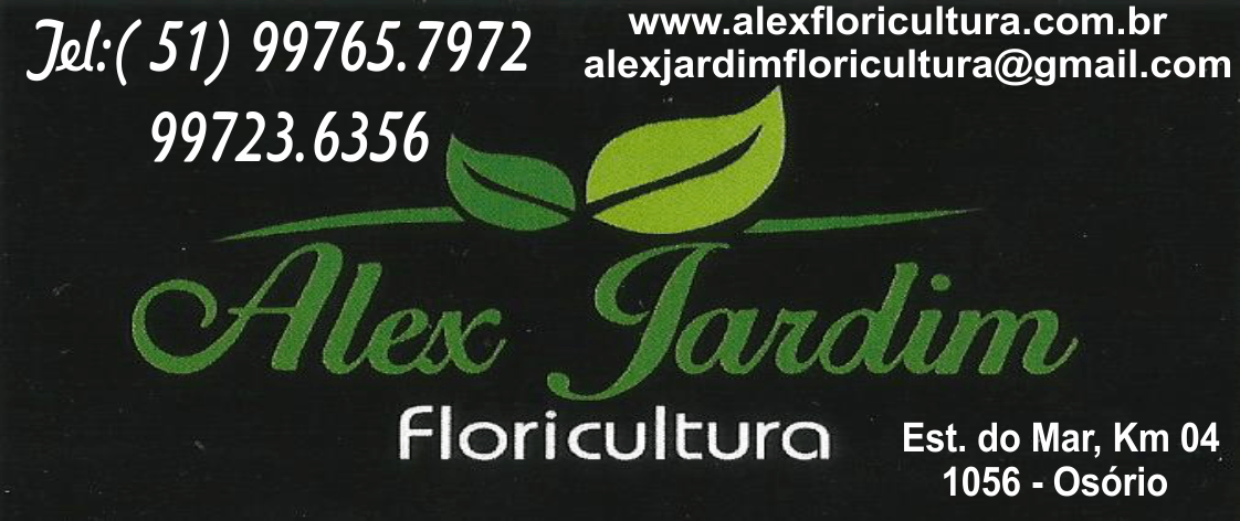 Anúncio