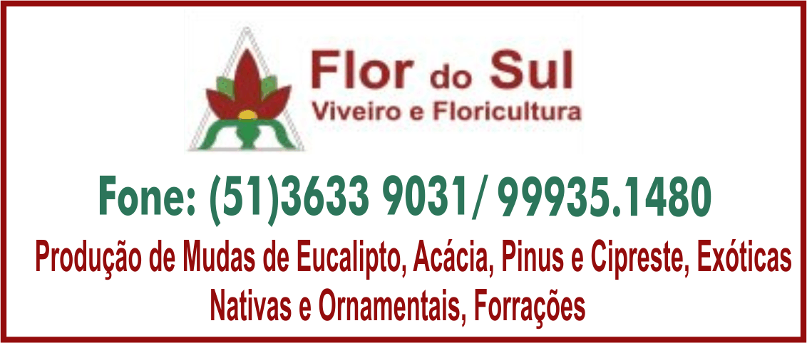 Anúncio