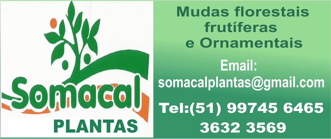 Anúncio